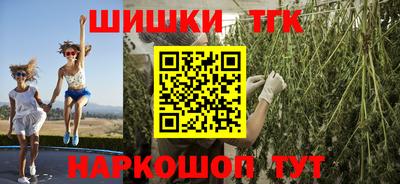 крисы Кунгур