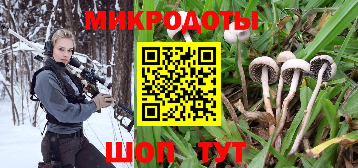 где купить наркоту  Псилоцибиновые грибы GOLDEN TEACHER  Вход с VPN  Троицк 